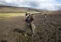 Opposing views voiced over tighter laws for grouse shooting