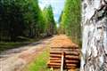 Timber roads boost for Moray