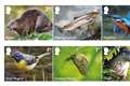 New stamps issued featuring birds, mammals, insects and fish
