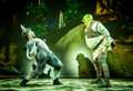 INTERVIEW: Shrek the Musical star Antony Lawrence looking forward to Aberdeen shows