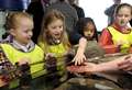 Macduff Marine Aquarium opens new touch pools