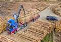 Strategic Timber Transport Fund calls for applications