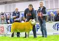 Texel matches centre record at Thainstone 