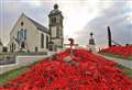 Macduff's poignant knitted poppy display back in place for Remembrance