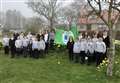 Seventh green flag success for Tipperty pupils