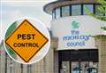 Who are the biggest pests in Moray schools?