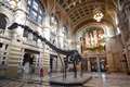 UK’s ‘most popular’ dinosaur Dippy heading to Coventry