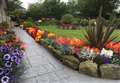 Entries open for Inverurie Best Garden Competition