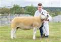 WJ Knox Texel ewe is overall sheep champion at Keith Show