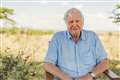 Sir David Attenborough warns of climate change threat from Covid-19