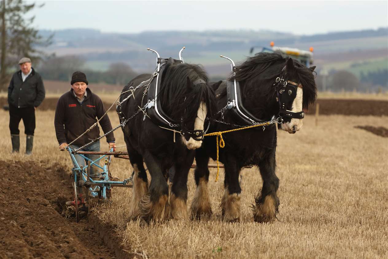 Grampian Supermatch ploughing. Picture: David Porter