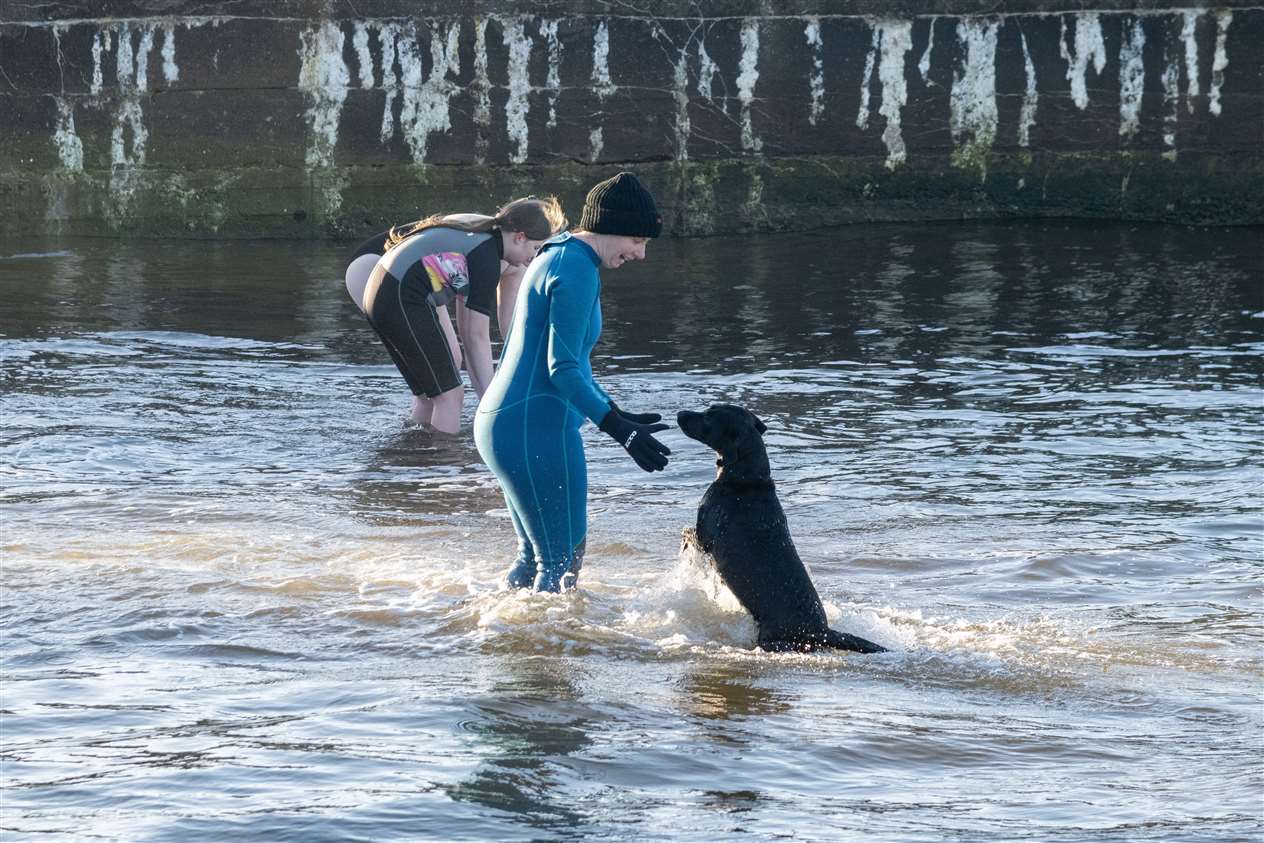 Patricia Munro and four-legged friend Amy brave the water on Boxing Day. Picture: Beth Taylor