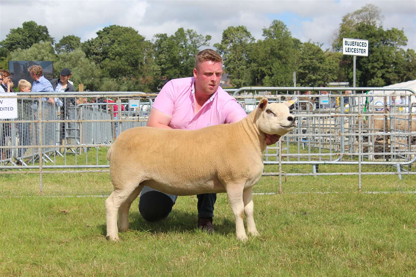 The Cross Sheep Singles champion. Picture: Kyle Ritchie