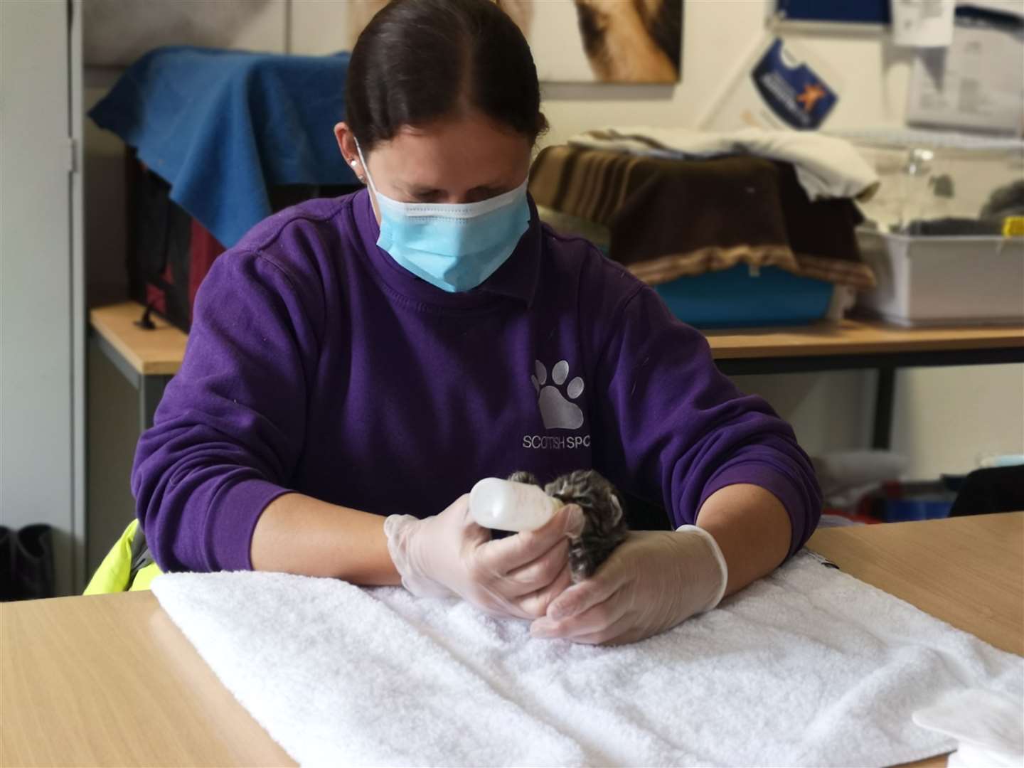 The Scottish SPCA in Aberdeenshire desperately need masks to allow them to continue their work safely. Picture courtesy of Scottish SPCA