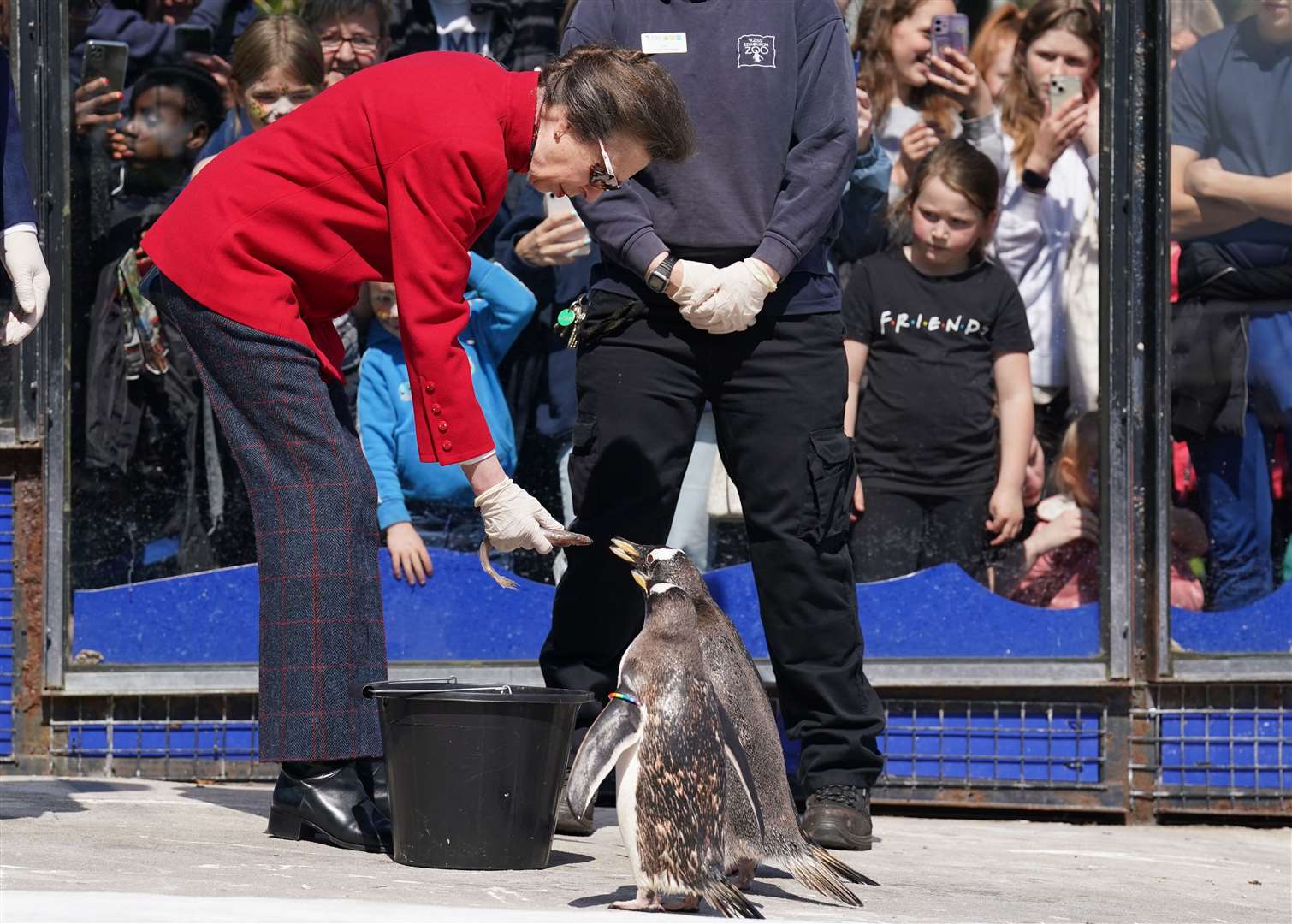Later, the Princess Royal travelled to Scotland where she marked her mother’s milestone by feeding penguins and meeting young Ukrainian refugees on a visit to Edinburgh Zoo (Andrew Milligan/PA)