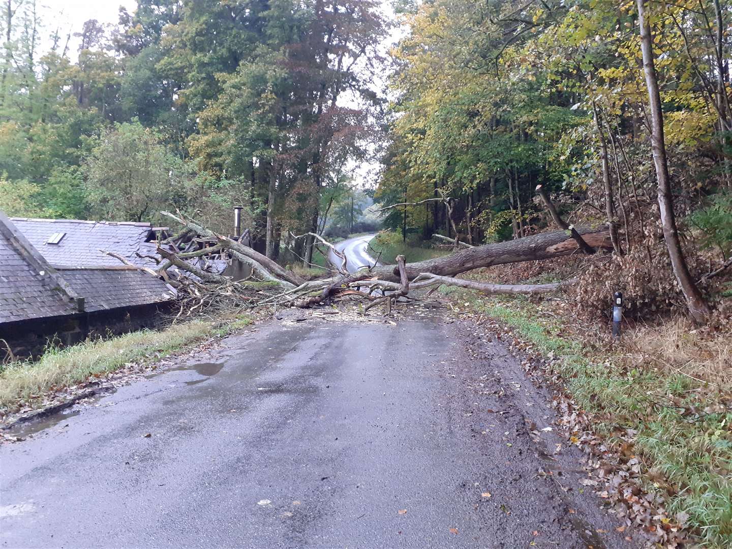 A fallen tree blocked the Fyvie to Rothienorman road.