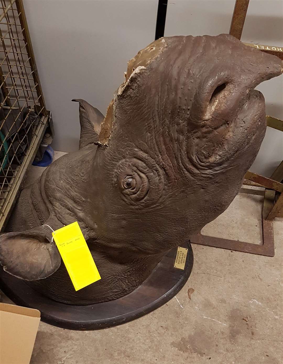 Police found a rhino head (Lancashire Police/PA)