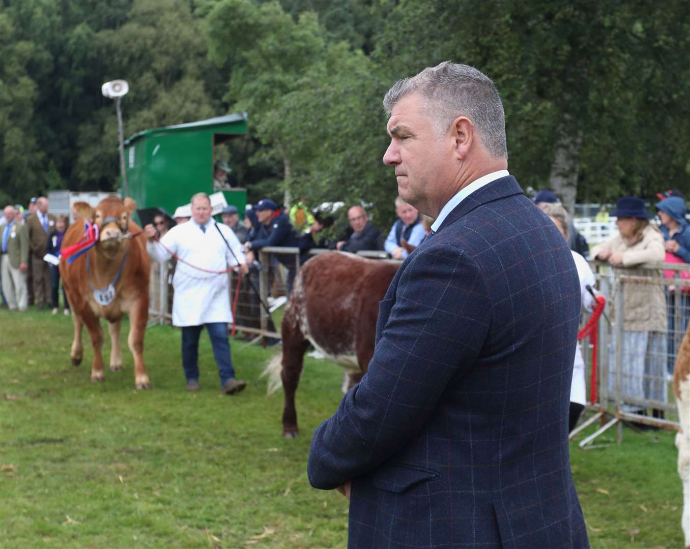 Show judge casts his eye over the interbreed contenders. Picture: David Porter
