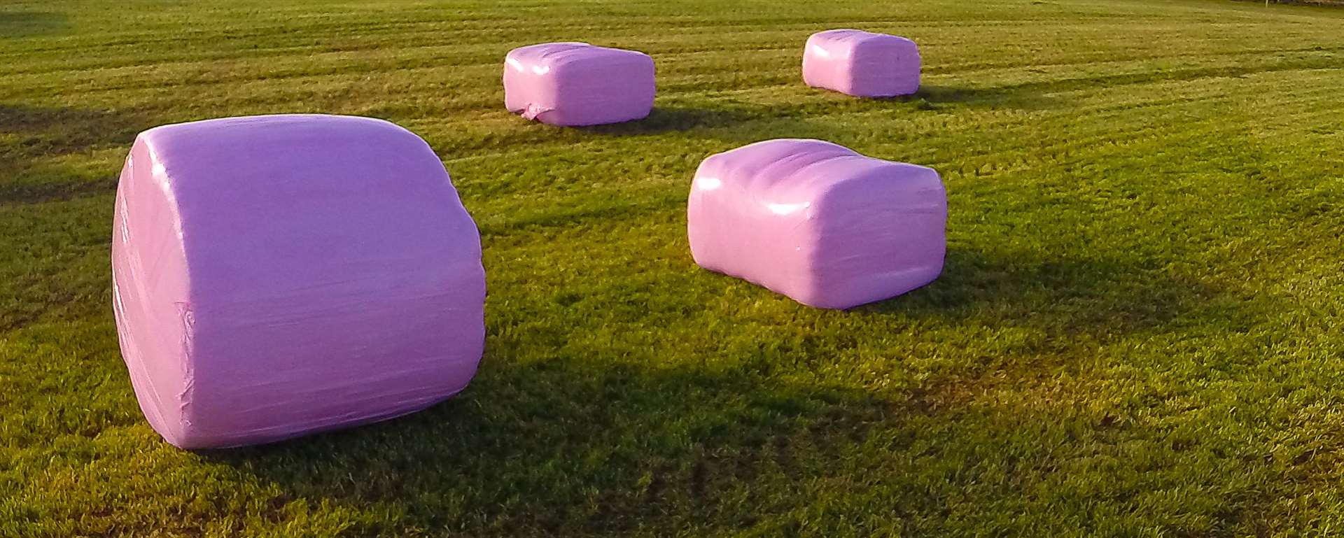 Bale wrap comes in pink too to raise money for breast cancer charities.