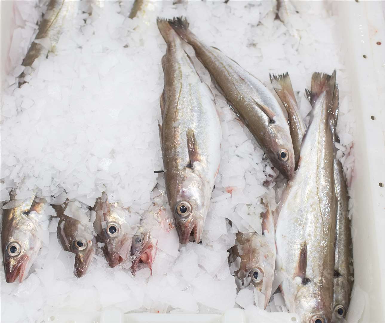 Trays of fish at Peterhead Fish Market in Aberdeenshire (Michal Wachucik/AP)