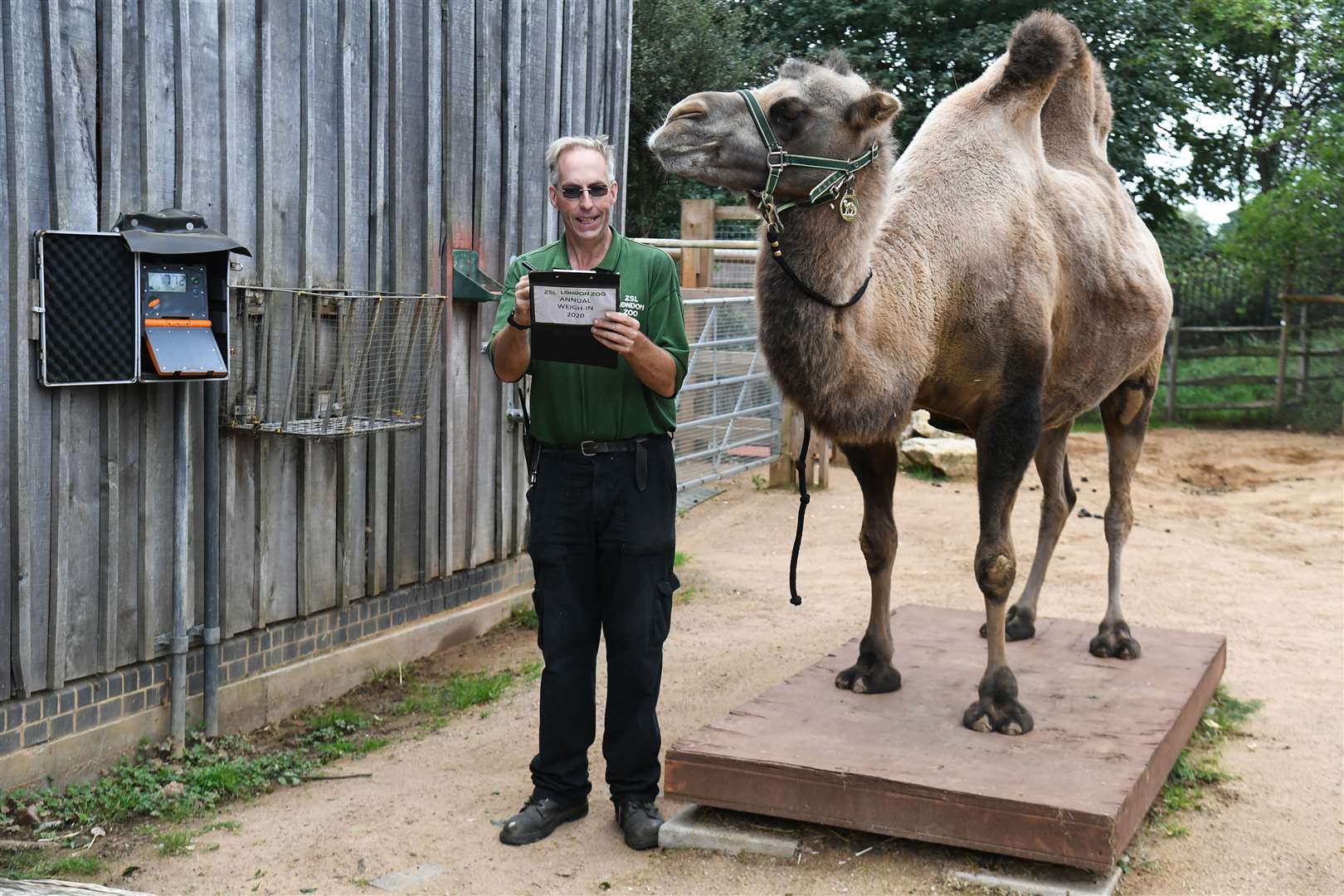 Keeper Mick Tiley took details for Noemie the Bactrian camel (Kirsty O’Connor/PA)