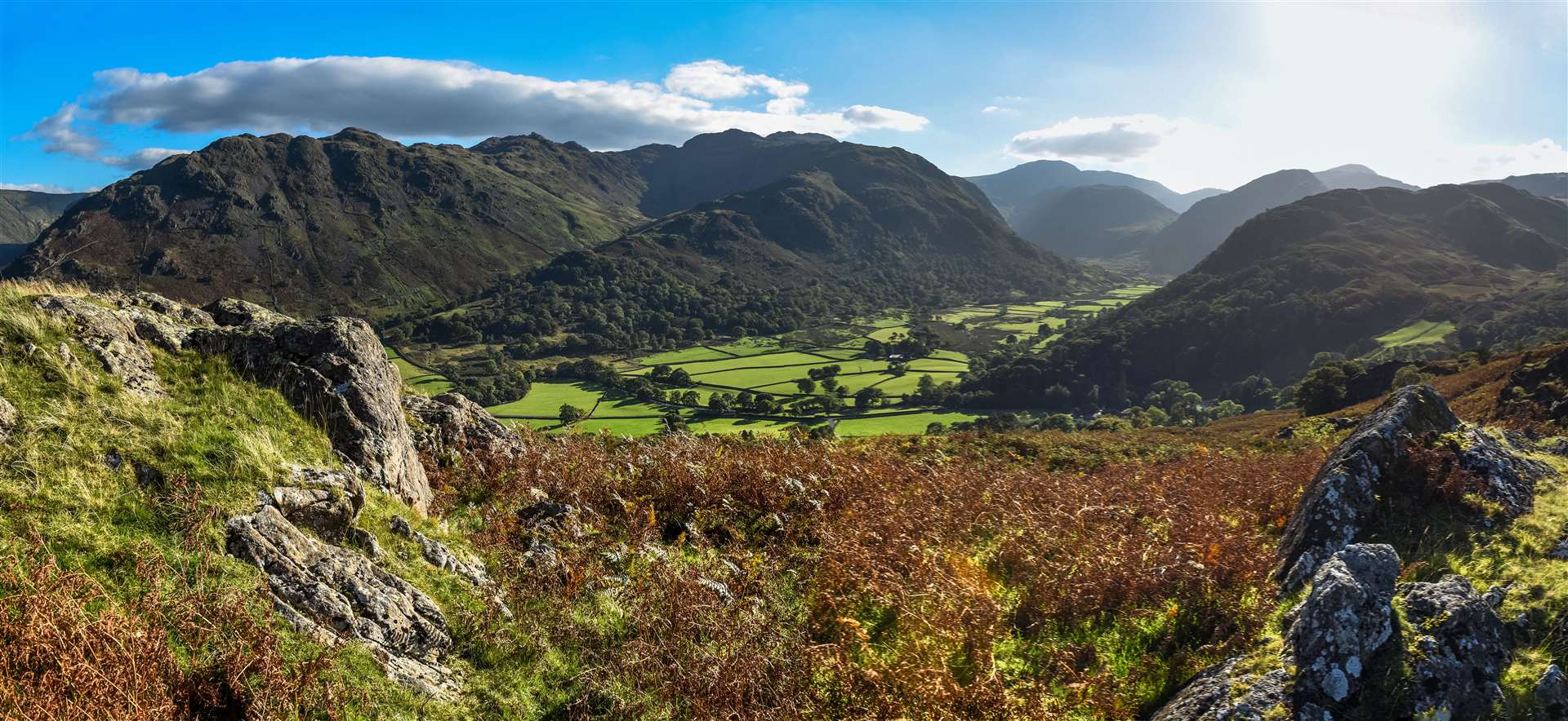 The lichen has been moved to trees within Borrowdale (National Trust/PA)
