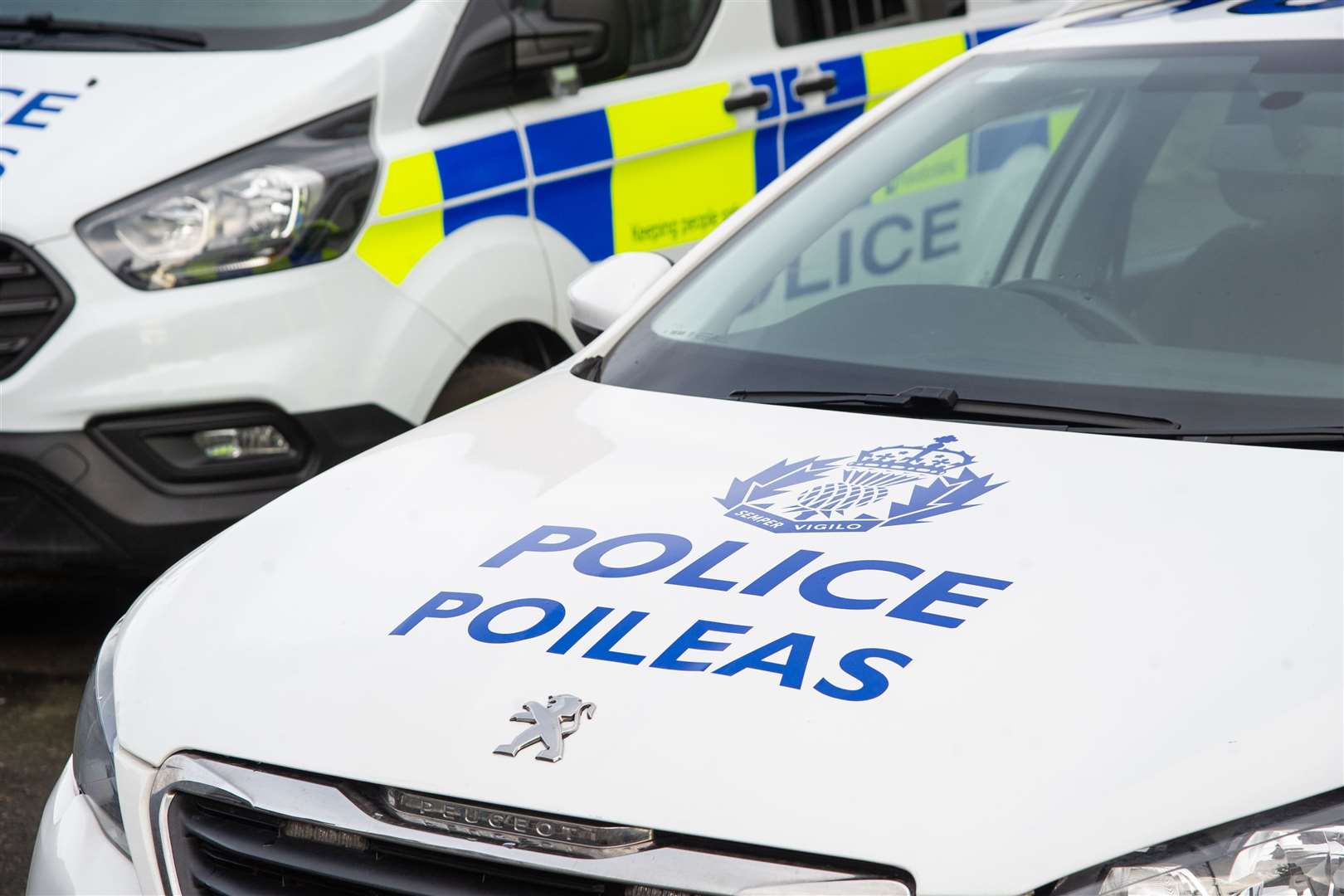 Police are appealing for information after a man was assaulted in Alford.