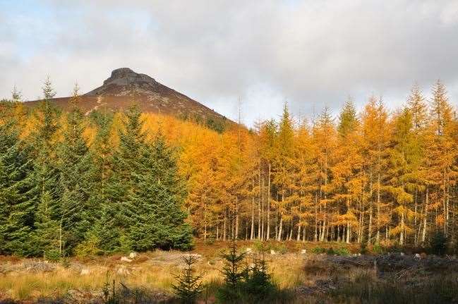 With the leaves changing colour, the Bailies of Bennachie has launched autumn learning resources for children.