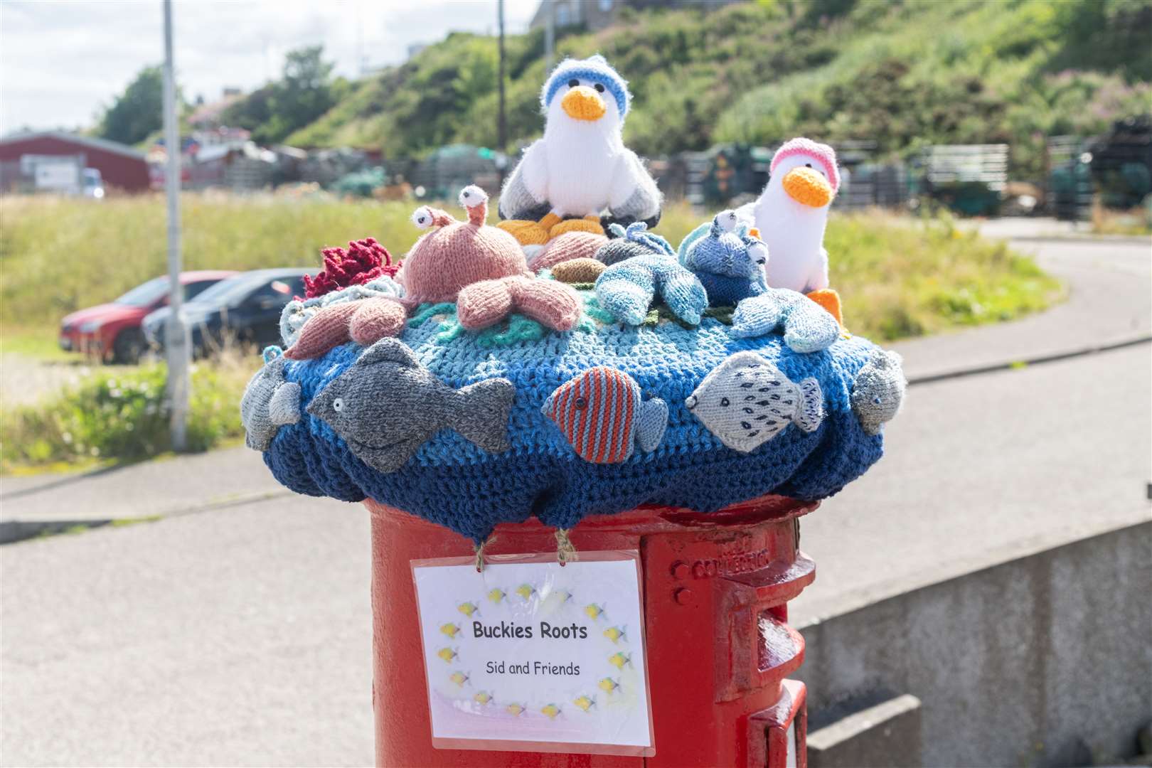 Meet Sid and Friends at the post box outside Eat Mair Fish in Buckie. Picture: Beth Taylor