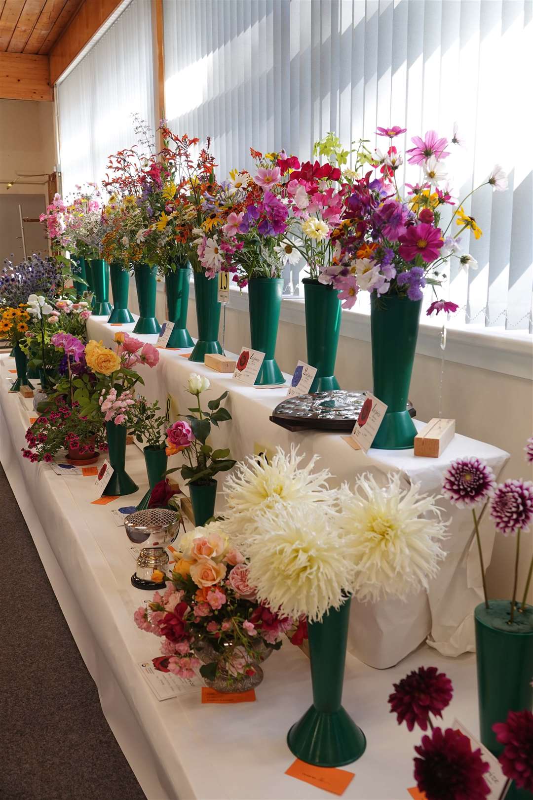 Alford Flower Show took place in the Men's Shed.