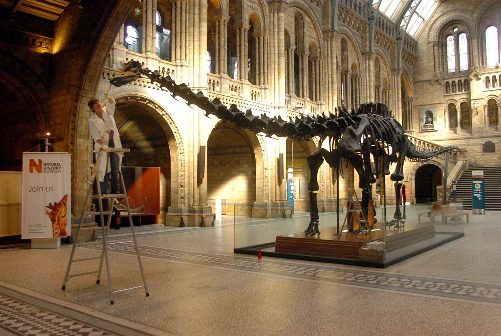The 26-metre-long skeletal cast of Dippy the Diplodocus, in the Natural History Museum, London (Johnny Green/PA)