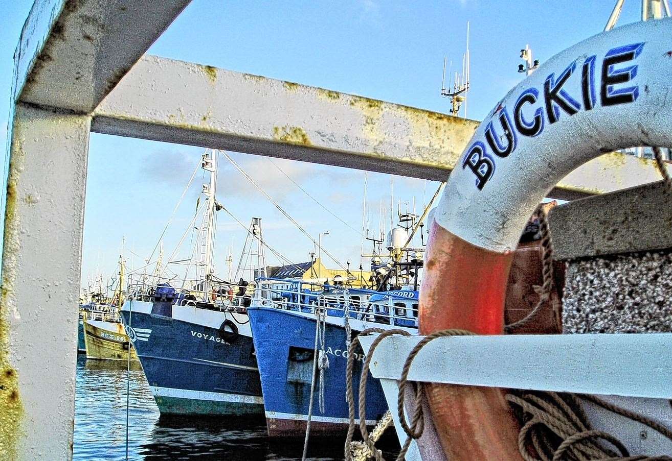 An overall quiet week saw fish landings rise at Buckie Harbour.