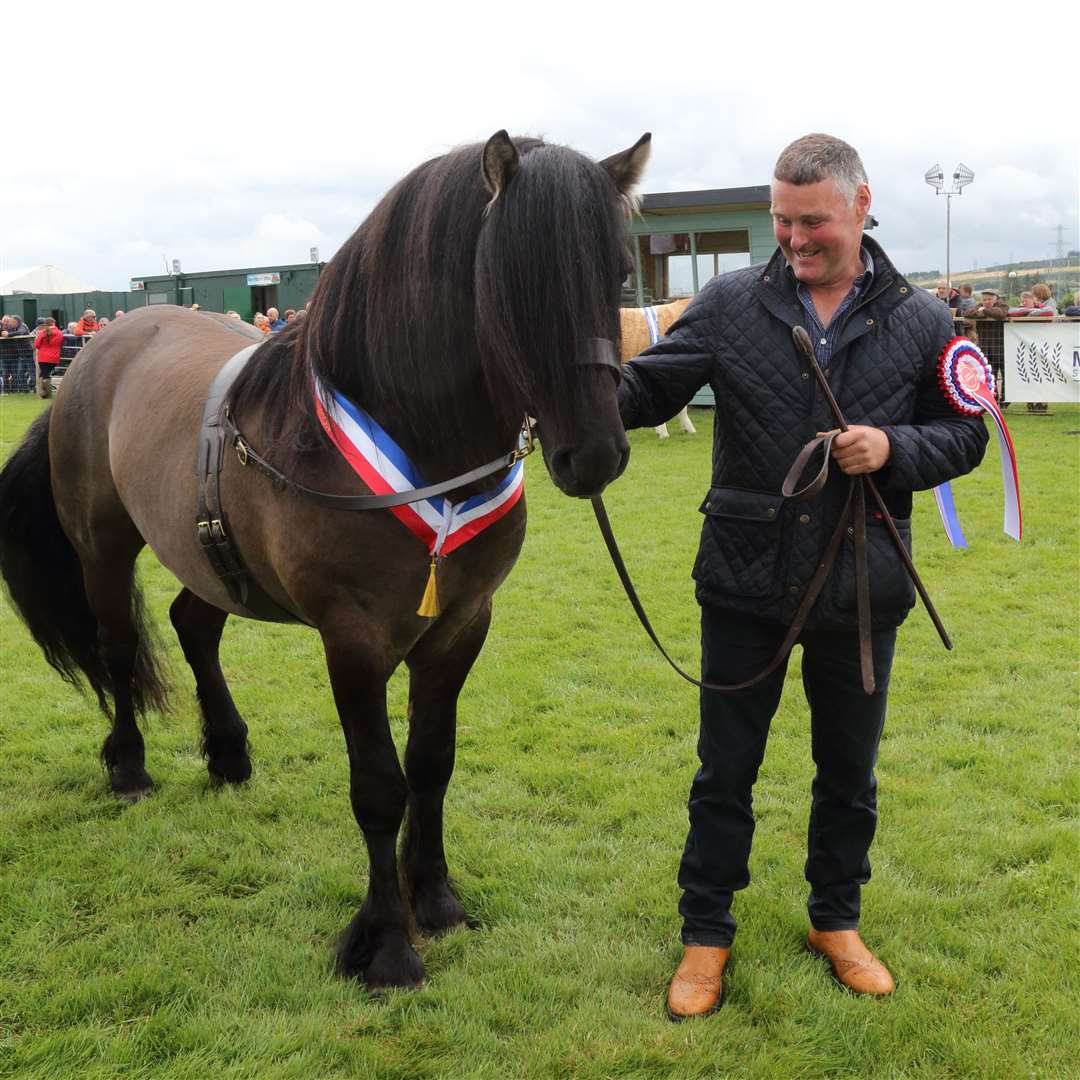 Champion of Champions Trailtrow Teviot form Fiona Menzies, Insch shown by David Smith. Picture: David Porter