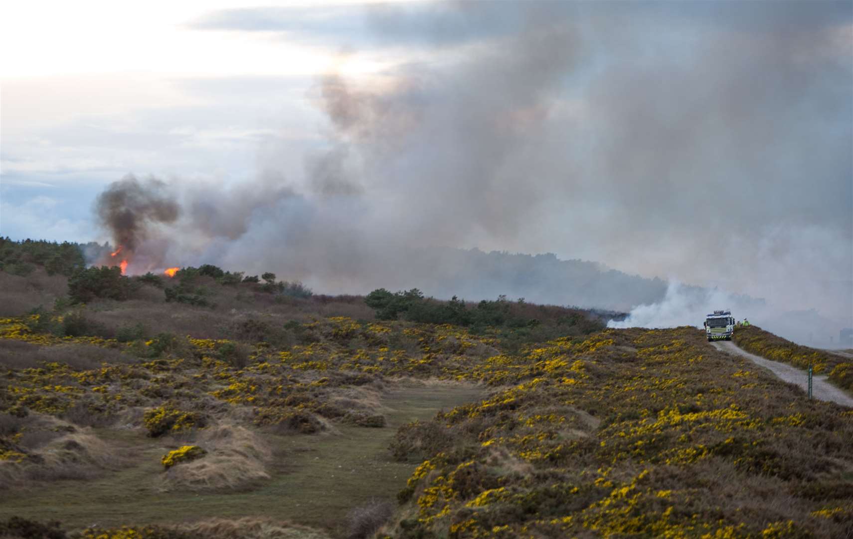 A mile of gorse and woodland was destroyed. Picture: Becky Saunderson