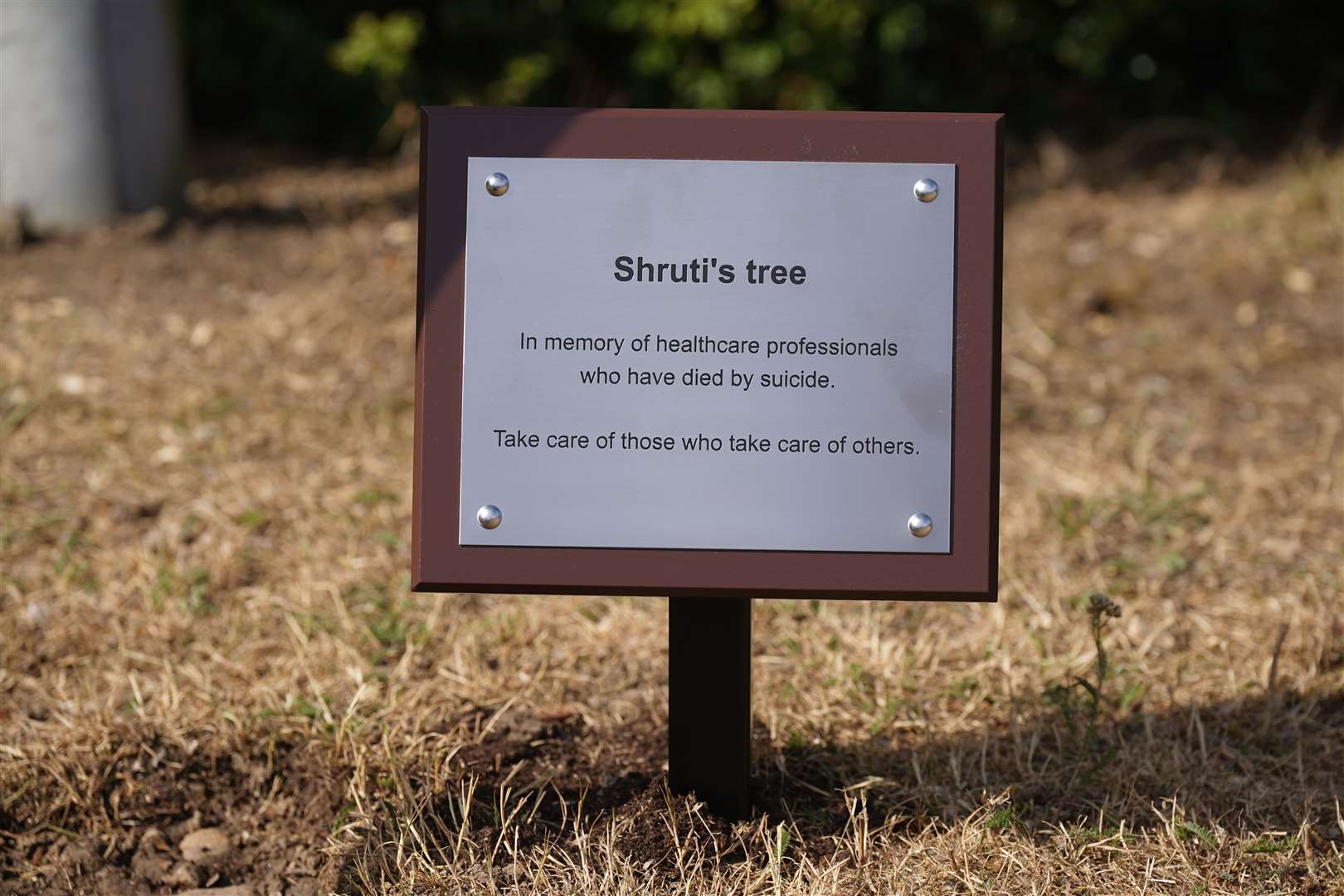 The Shruti tree is named after Shruti Acharya, a student doctor in Kay’s series who took her own life (Yui Mok/PA)