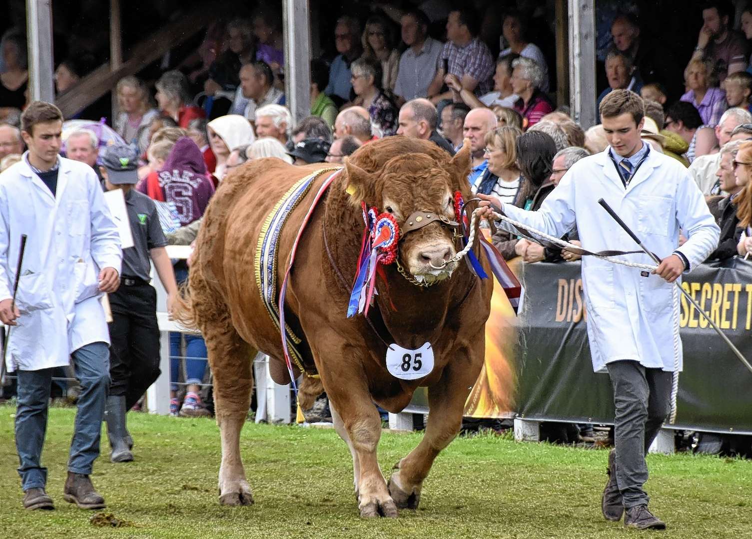 Turriff Show is the largest two-day agricultural show in Scotland.