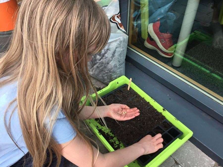 The Royal Northern Countryside Initiative launched its Windowsill Garden Project in March.
