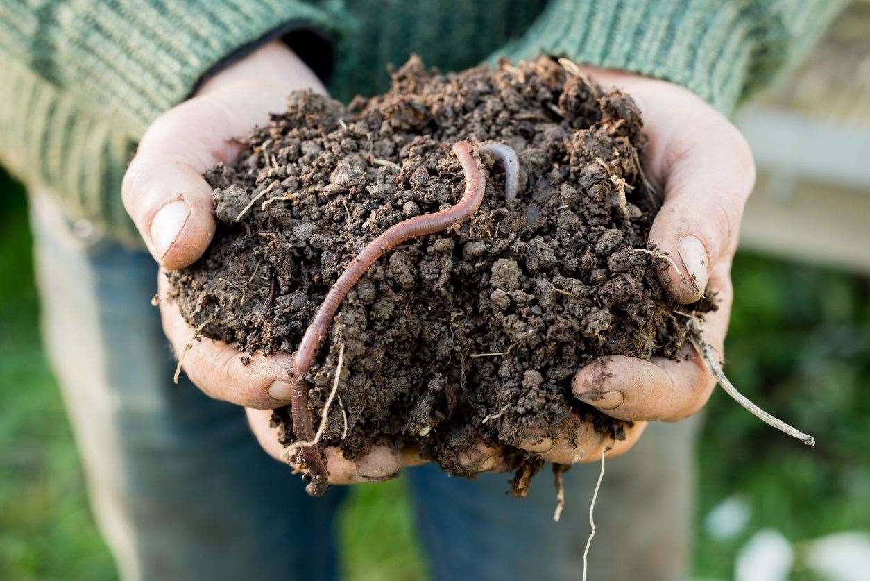 Dr Jackie Stroud will investigate how earthworms can reduce disease risk through effective residue management