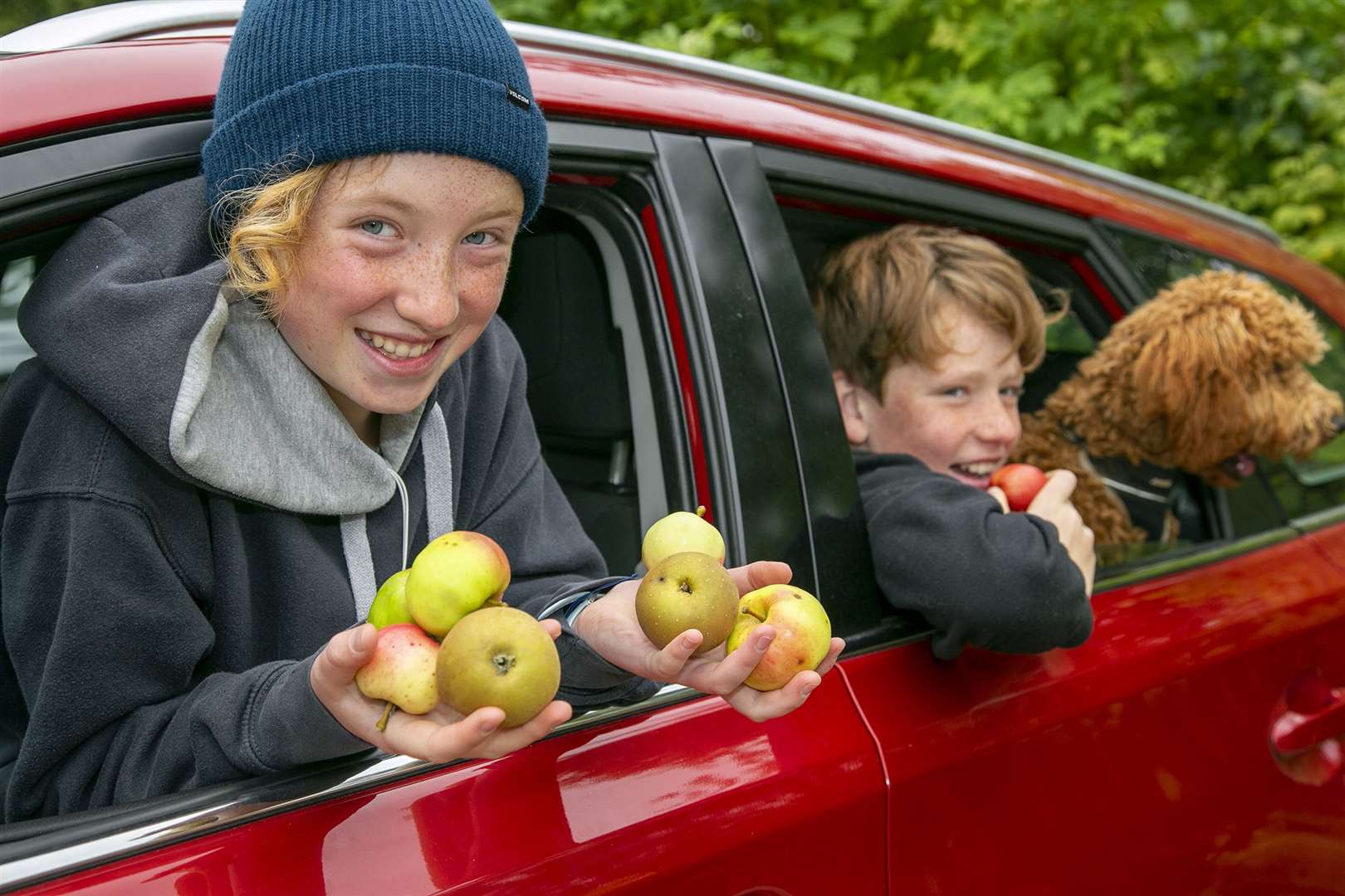 Bea (12) and Ed Richmond (10) with their haul of fruit. Picture: Rory Raitt