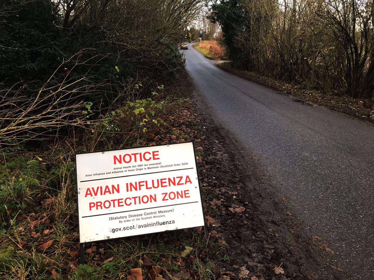 There have been a number of bird flu outbreaks in Aberdeenshire over the past months.