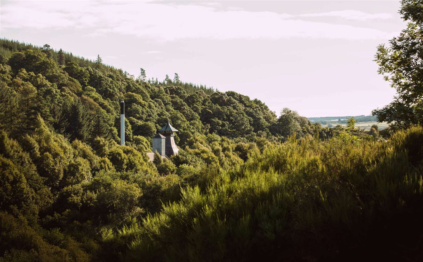 Speyburn Distillery nestling among the trees. Picture: Reuben Paris