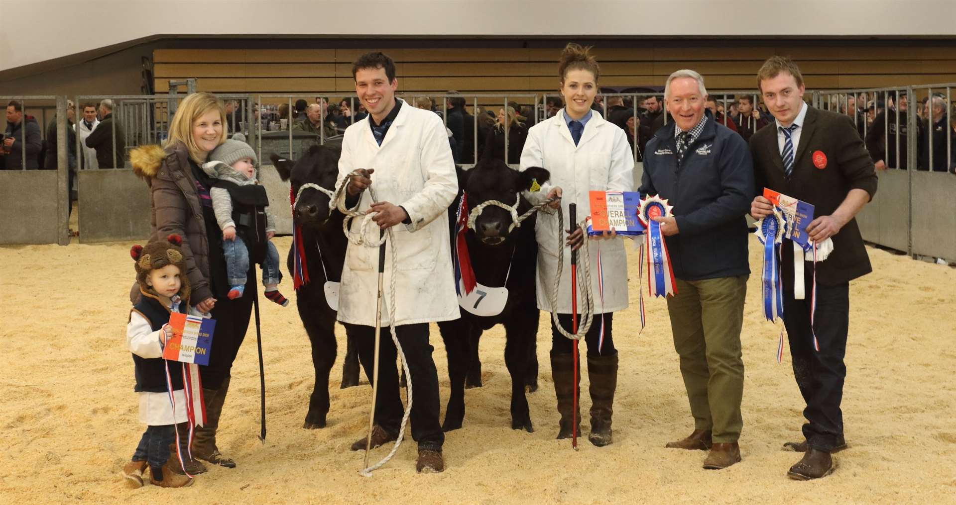 The reserve and champion exhibition cattle at the event, last held in 2020 came from the Robertson family, Newton of Logierait, Perthshire. Picture: David Porter