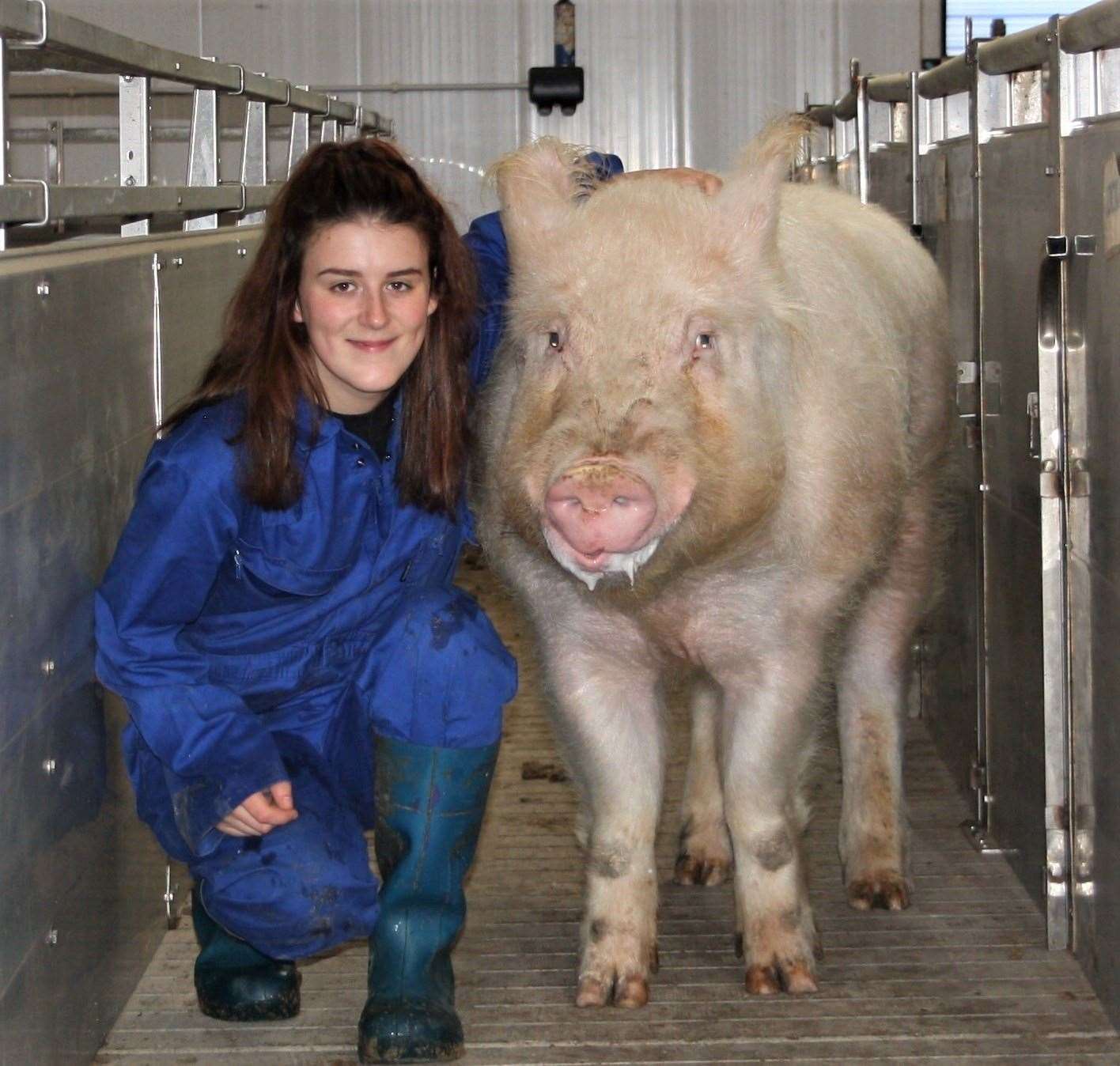 Chloe Shorten with one of her pigs.
