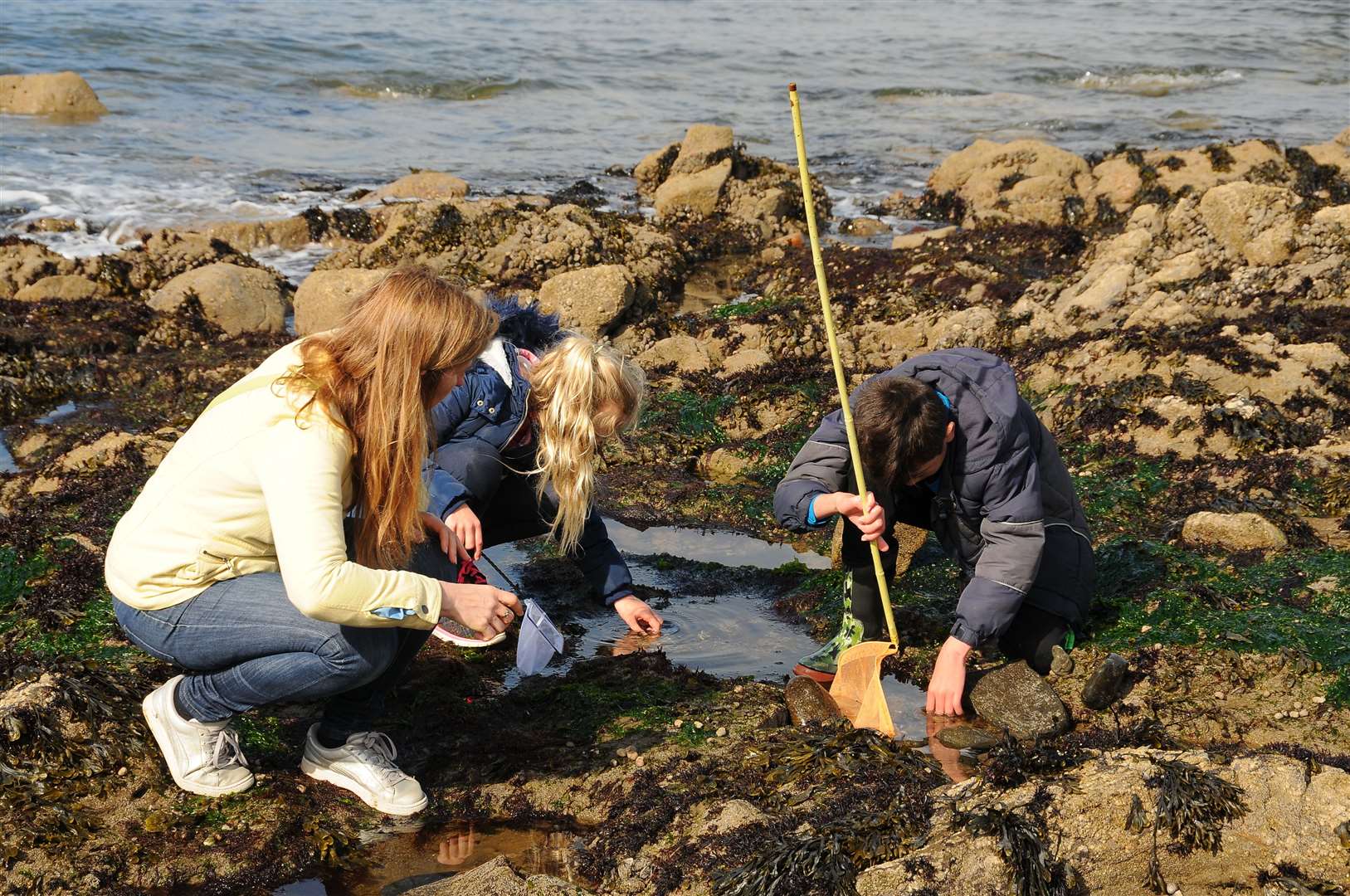 The trail allows families to become ocean explorers, delving deep into the world of rockpools.