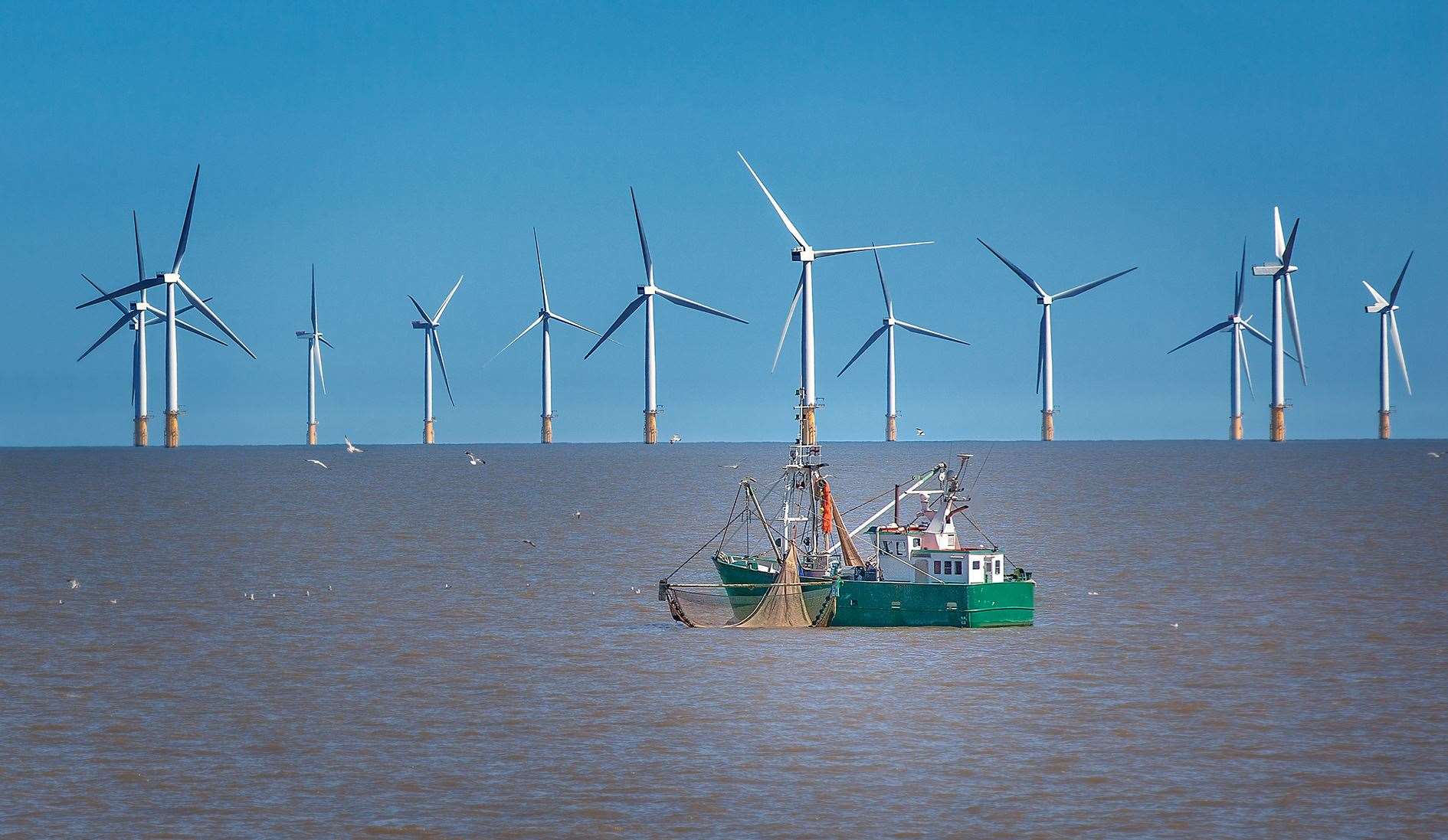 Concerns have been raised about the impact of offshore windfarms on the fishing industry.