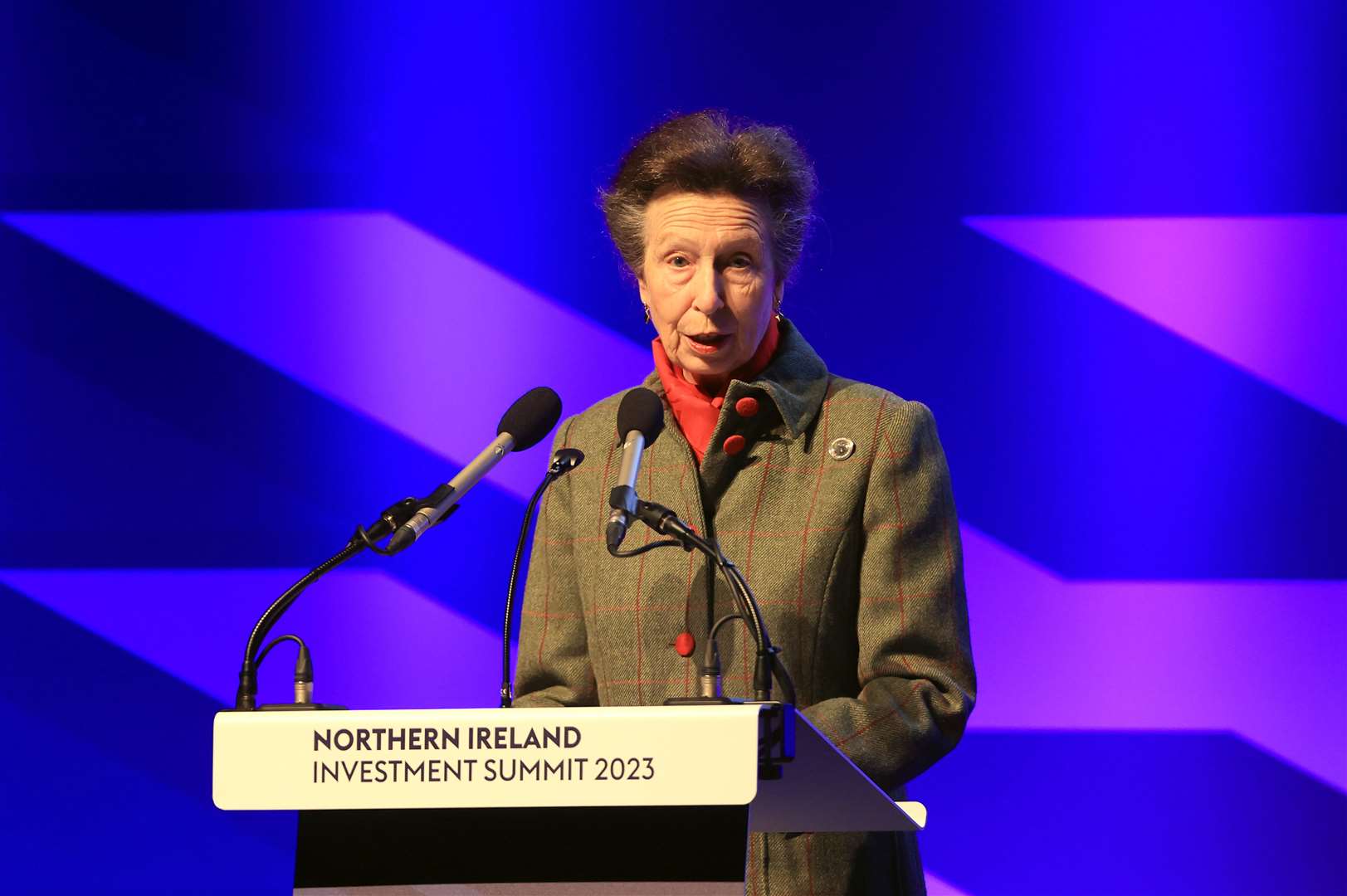 The Princess Royal spoke to delegates during the summit (Liam McBurney/PA)