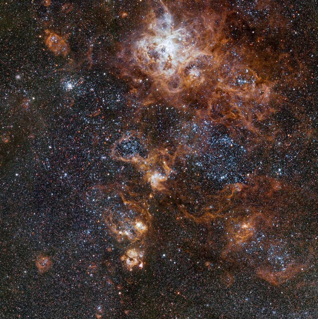 The Tarantula Nebula is about 160,000 light years away from Earth (European Southern Observatory/PA)