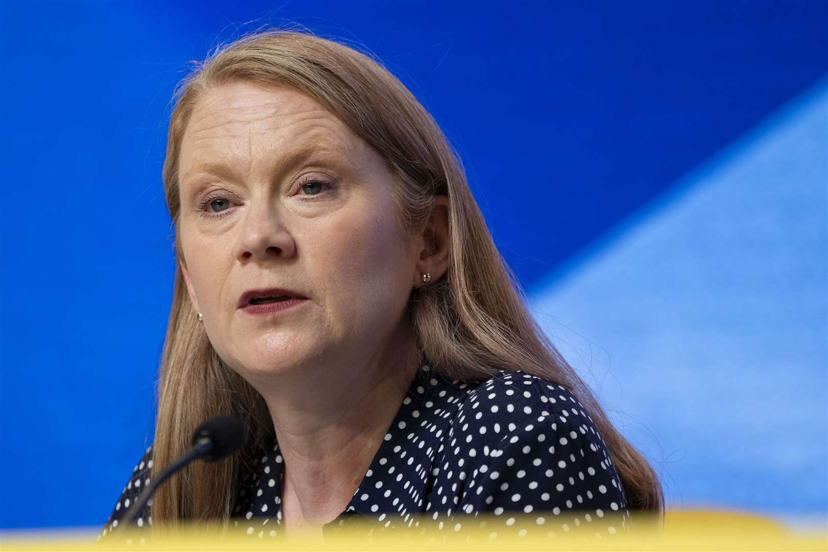 Social Justice Secretary Shirley-Anne Somerville called on people and organisations to take part in the consultation (PA)