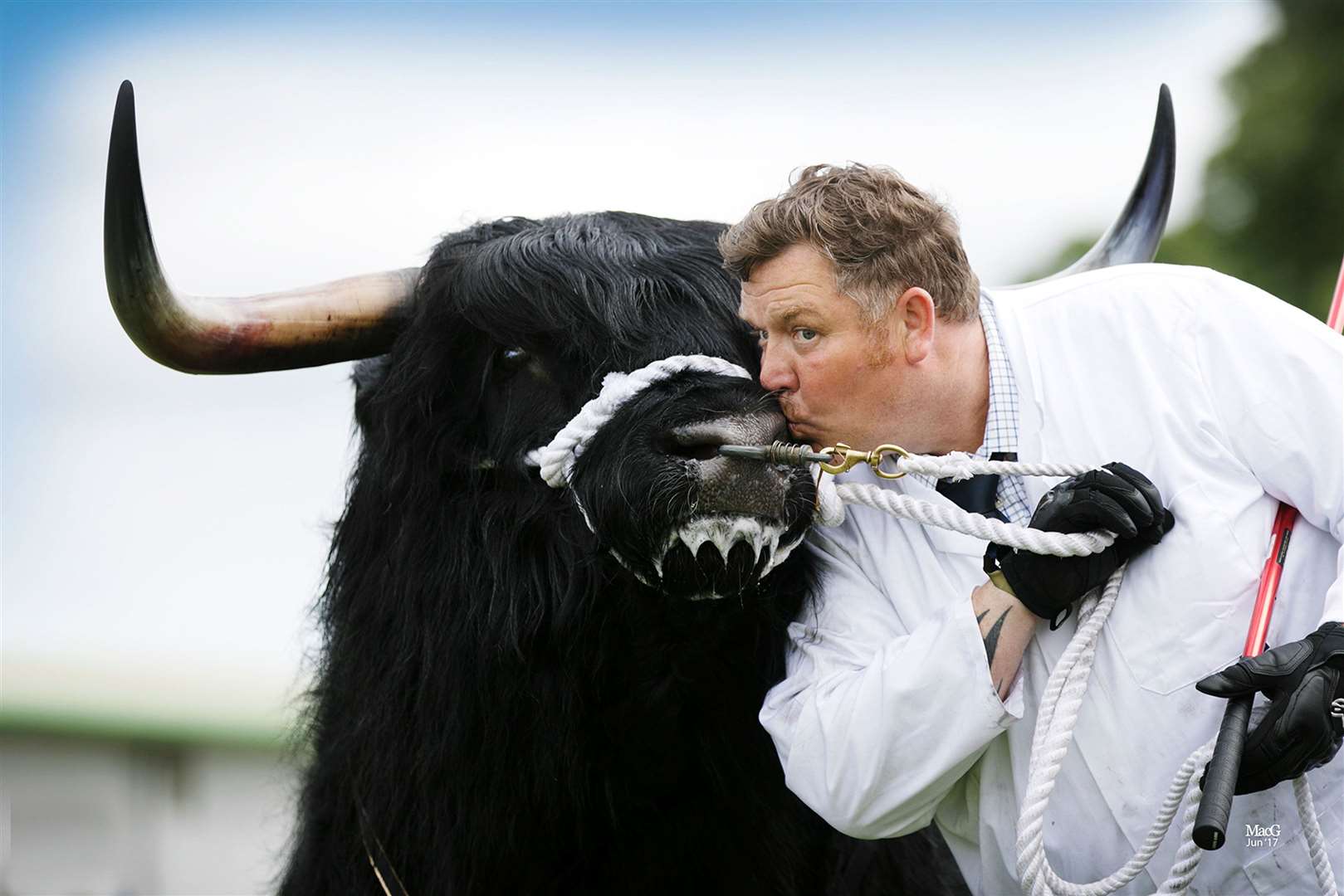 An appeal is being launched to save the Royal Highland Show 2021.