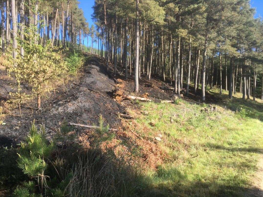 Fire damage occurred at several sites in Aberdeenshire during the summertime.